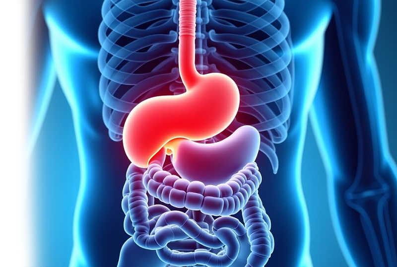 Гастроскопия