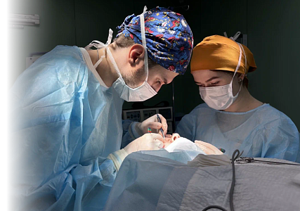 ЛОР-хирургия