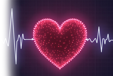 УЗИ сердца ЭХО-КГ